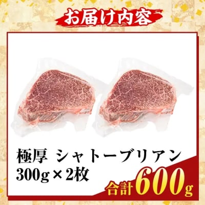 鹿児島県産A5黒毛和牛『極厚』シャトーブリアン(計600g)【ふるさと産直バザール】K-706-B