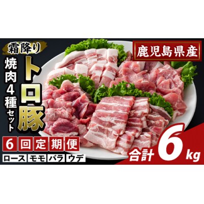 <6回定期便>霜降りトロ豚焼肉用バラエティセット(計6kg)【ふるさと産直バザール】K-379-E 