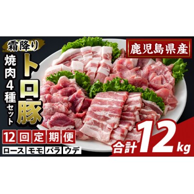 <12回定期便>霜降りトロ豚焼肉用バラエティセット・計12kg【ふるさと産直バザール】K-379-F