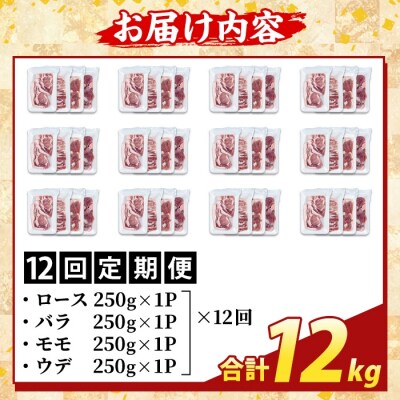 <12回定期便>霜降りトロ豚焼肉用バラエティセット・計12kg【ふるさと産直バザール】K-379-F