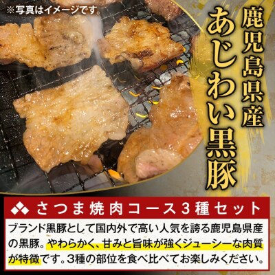 <3回定期便>かごしま味わい黒豚 さつま焼肉　計2.7kg【ふるさと産直バザール】K-367-D
