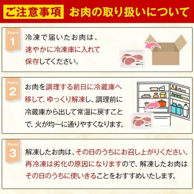 直売用訳あり限定 さつま黒豚 不揃い厚切り焼肉 (計1kg)【ふるさと産直バザール】K-746-A