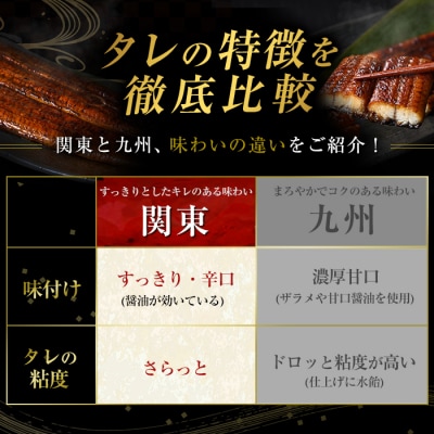 関東風タレ仕上げ!霧島うなぎ蒲焼き(130～150g×2尾)【田代水産】K-742