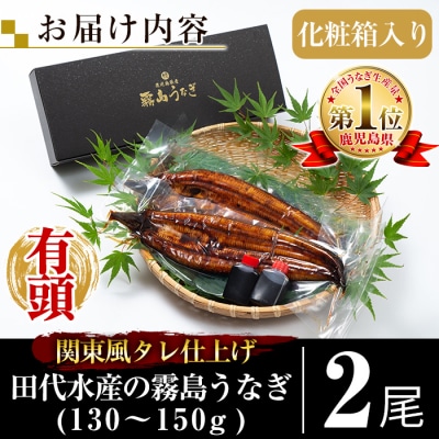 関東風タレ仕上げ!霧島うなぎ蒲焼き(130～150g×2尾)【田代水産】K-742