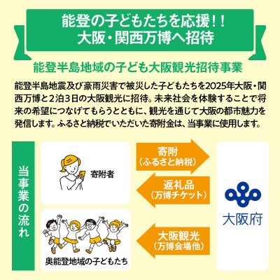 大阪・関西万博入場チケット 【超早割】一日券(小人)