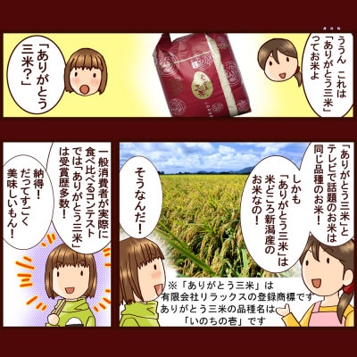 【発送月固定定期便】新潟いのちの壱コンテスト受賞者の米 精米5kg全3回