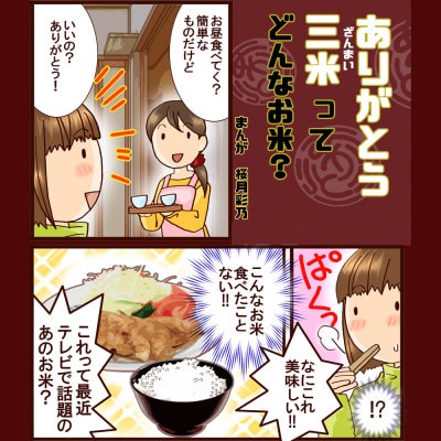 【発送月固定定期便】新潟いのちの壱コンテスト受賞者の米精米5kg全4回