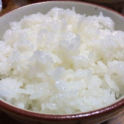 令和6年産 新潟田上町産なんかんコシヒカリ 白米5kg