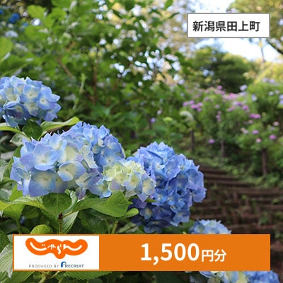【じゃらんふるさと納税クーポン】 新潟県田上町でつかえる1,500円 クーポン