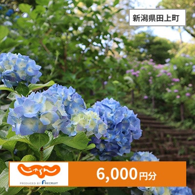 【じゃらんふるさと納税クーポン】 新潟県田上町でつかえる6,000円 クーポン