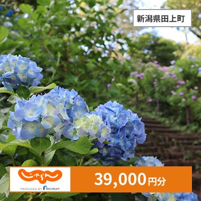 【じゃらんふるさと納税クーポン】 新潟県田上町でつかえる39,000円 クーポン