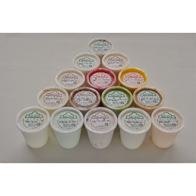 【夏限定セット】アイス&ジェラート170mlカップ×15個