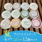 【夏セット】アイス&ジェラート 12個セット