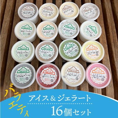 【2025年4月下旬発送】バラエティー16個セット 146ml×16個