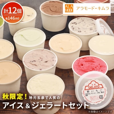 【秋限定】アイス&ジェラート 12個セット 146mlカップ×12個