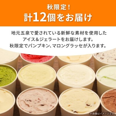 【秋限定】アイス&ジェラート 12個セット 146mlカップ×12個