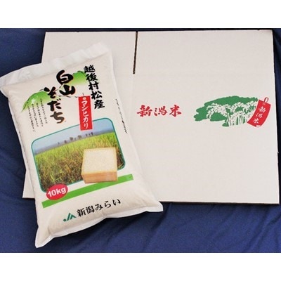 五泉産コシヒカリ「白山そだち」10kg【新潟】