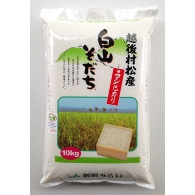五泉産コシヒカリ「白山そだち」10kg【新潟】