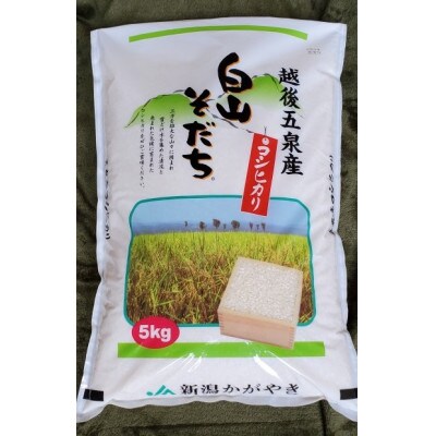 【新潟】五泉産コシヒカリ「白山そだち」5kg