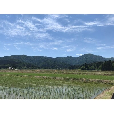 【新潟】五泉産コシヒカリ「白山そだち」5kg