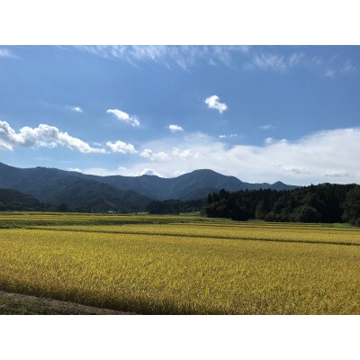 【新潟】五泉産コシヒカリ「白山そだち」5kg