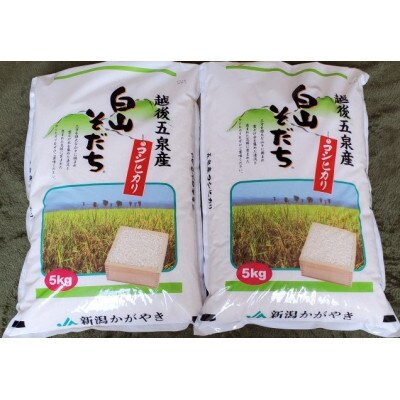 【新潟】五泉産コシヒカリ「白山そだち」5kg×2袋