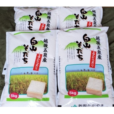 【新潟】五泉産コシヒカリ「白山そだち」5kg×4袋