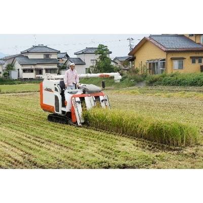【令和3年産米】五泉恵米コシヒカリ5kg(精米)