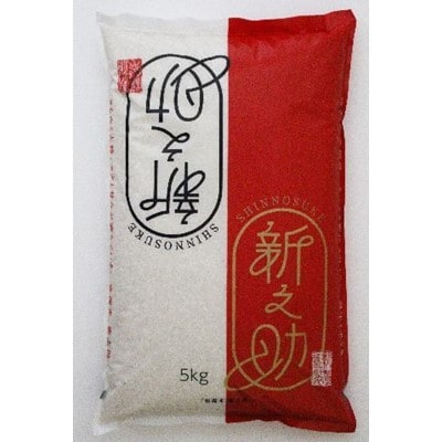 【令和2年産】渡辺農園の新之助5kg　精米