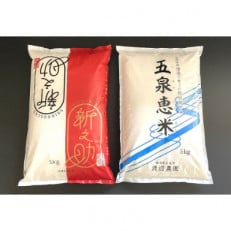 【令和4年産米】渡辺農園のお米食べ比べセット　五泉恵米コシヒカリ5kg /新之助5kg (精米)