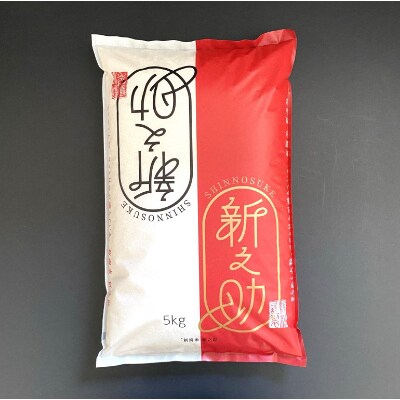 【令和3年産米】渡辺農園のお米食べ比べセット 五泉恵米コシヒカリ5kg /新之助5kg (精米)