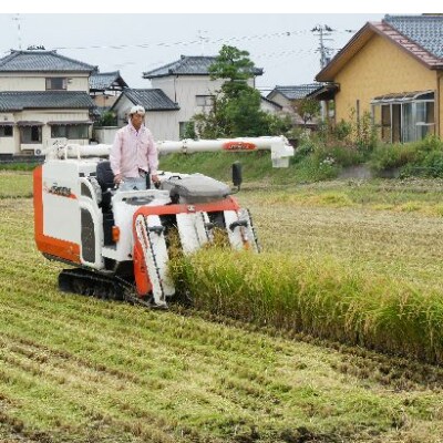 【令和3年産米】渡辺農園のお米食べ比べセット 五泉恵米コシヒカリ5kg /新之助5kg (精米)