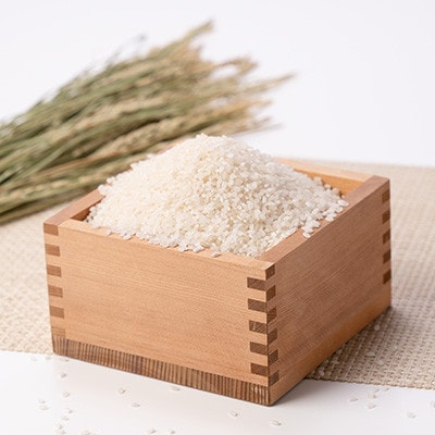 【先行受付】令和8年産 新潟県産 特別栽培米 コシヒカリ 精米 10kg(5kg×2袋)
