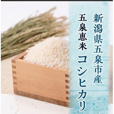 【先行受付】令和8年産 新潟県産 特別栽培米 コシヒカリ 精米 20kg(5kg×4袋)
