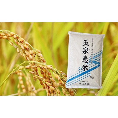 【毎月定期便】〈令和5年産〉新潟県五泉市産「五泉恵米」コシヒカリ5kg 全3回