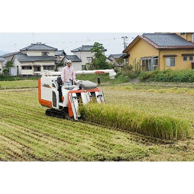 【毎月定期便】〈令和5年産〉新潟県五泉市産「五泉恵米」コシヒカリ5kg 全3回