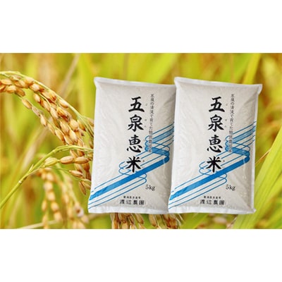 【毎月定期便】〈令和5年産〉新潟県五泉市産「五泉恵米」コシヒカリ10kg 全3回