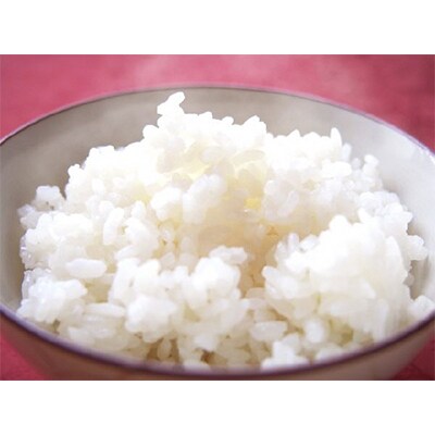 【毎月定期便】〈令和5年産〉新潟県五泉市産「五泉恵米」コシヒカリ10kg 全3回
