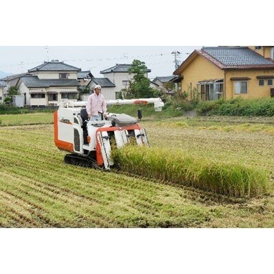 2021年6月発送開始『定期便』渡辺農園の五泉産「新之助」精米5kg　全3回