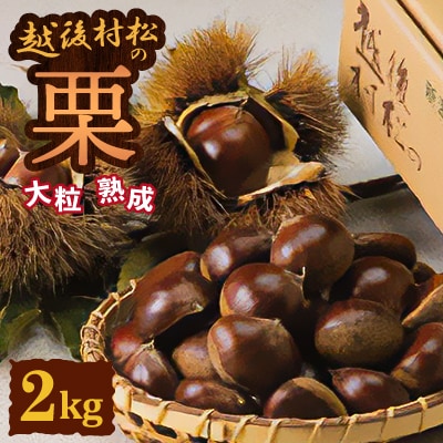 <10月中旬発送>越後村松の栗2kg