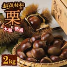 ＜12月上旬発送＞越後村松の栗2kg