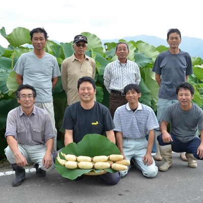 ＜10月発送＞新潟県五泉市産蓮根「五泉美人」4kg