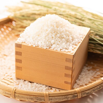 【令和5年産】　わくわく農場の五泉産コシヒカリ5kg