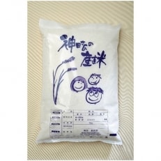 【令和4年産】 わくわく農場の五泉産コシヒカリ20kg