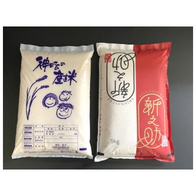 【令和2年産米】わくわく農場のお米食べ比べセット(コシヒカリ5kg 新之助5kg)