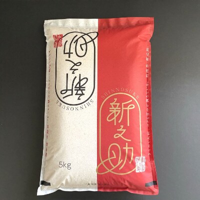 【令和2年産米】わくわく農場のお米食べ比べセット(コシヒカリ5kg 新之助5kg)