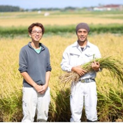【令和2年産米】わくわく農場のお米食べ比べセット(コシヒカリ5kg 新之助5kg)