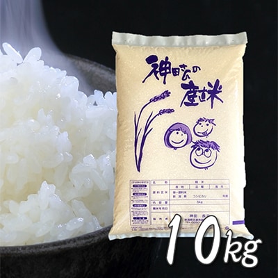 【毎月定期便】令和5年産 わくわく農場の新潟県五泉市コシヒカリ10kg 全3回