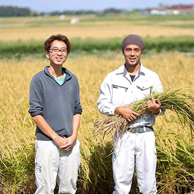 【毎月定期便】令和5年産 わくわく農場の新潟県五泉市コシヒカリ10kg 全3回
