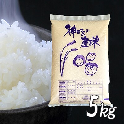 【毎月定期便】令和5年産 わくわく農場の新潟県五泉産コシヒカリ5kg 全3回